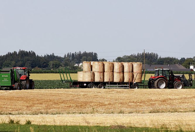 featured-agriculture-iii