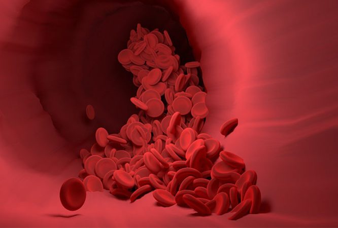 featured-bio-i