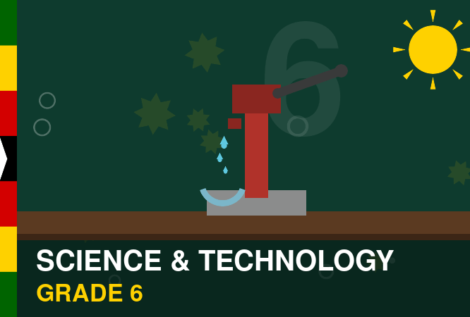 Science and Technology Grade 6 course thumbnail